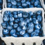 blueberries-1326154_960_720