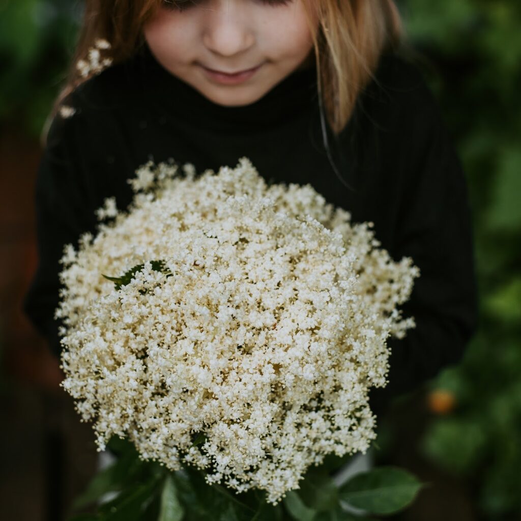 winter herbal lifestyle imagery