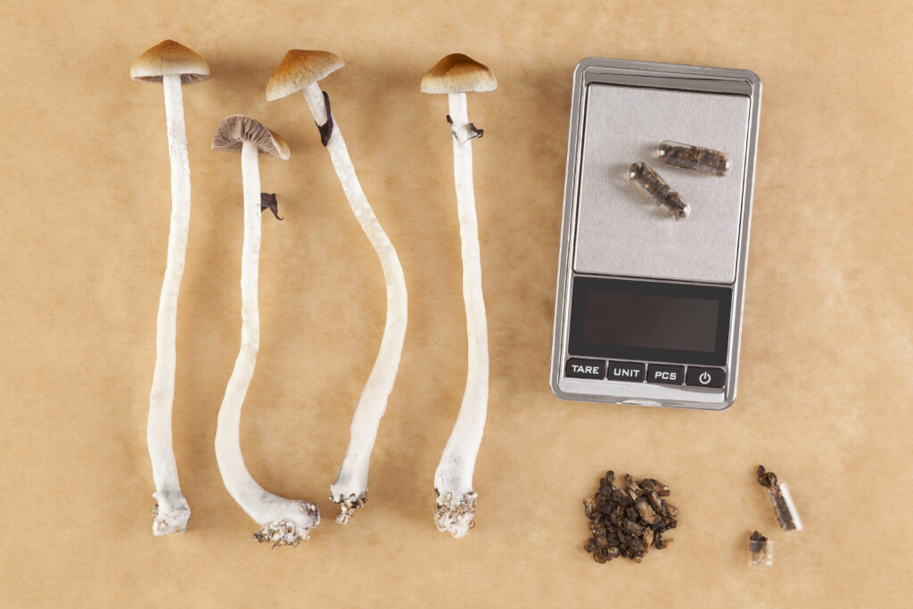 Psilocybin-assisted therapy appears to function more like a psychological “reset"